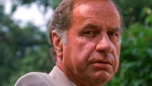 Poster for Surprise, Surprise