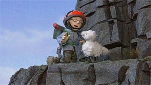 Poster for Danger Falling Sheep