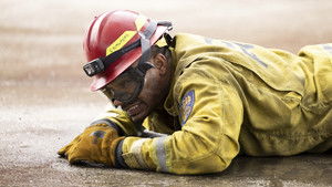 Poster for Like a Wounded Wildebeest