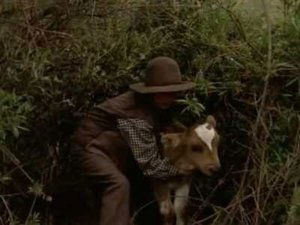 Poster for The Cattle Drive (2)