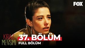 Poster for Episodio 37