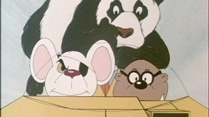 Poster for Ice Station Camel Poster for Ice Station Camel