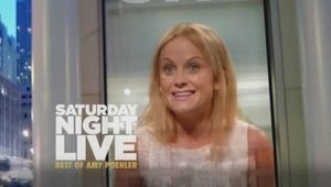 Poster for The Best of Amy Poehler