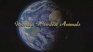 Poster for WORLD'S WEIRDEST ANIMALS
