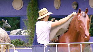 Poster for Day 38 - Daily Show