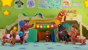 Poster for Pup Tent / Tree Bark Poster for Pup Tent / Tree Bark