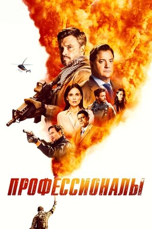 Профессионалы