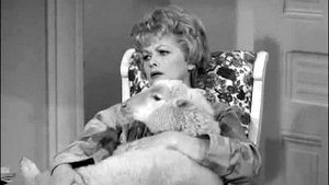 Poster for Lucy Buys a Sheep