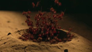 Poster for Episode 11 Poster for Episode 11