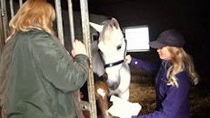 Poster for Episode 1 Poster for Episode 1