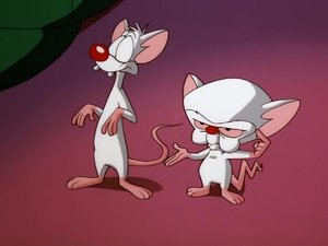 Poster for Pinky At The Bat