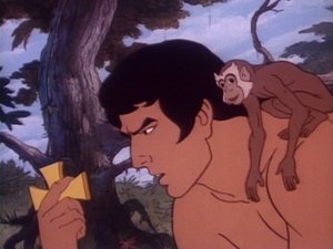 Poster for Tarzan and the Knights of Nimmr
