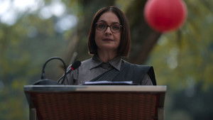 Poster for The Perfect Woman