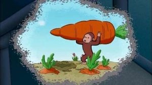 Poster for The Perfect Carrot