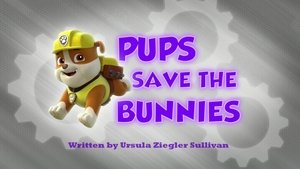 Poster for Pups Save the Bunnies