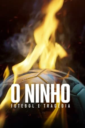 炎が奪った夢: ブラジルサッカー界の悲劇
