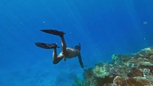 Poster for Coconut Etiquette