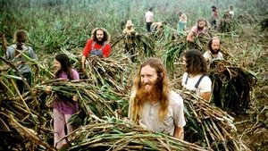 Poster for A Fierce Green Fire Poster for A Fierce Green Fire