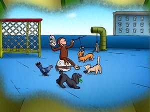 Poster for The All-Animal Recycled Band