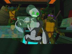 Poster for Turtles in Space (1): The Fugitoid