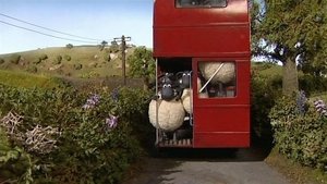 Poster for Sheep on the Loose