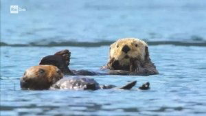 Poster for Episode 1