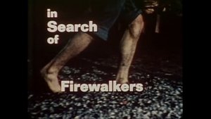 Poster for Firewalkers