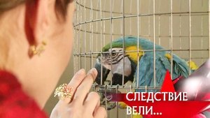 Poster for Episode 4