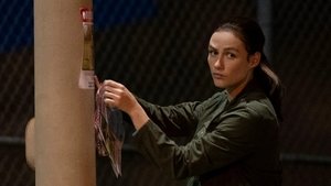 Poster for Broken Order