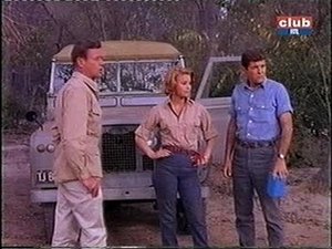Poster for Adventure of the Lion Cubs