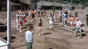Poster for The M*A*S*H Olympics