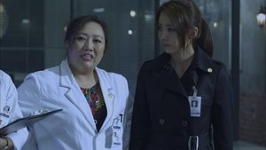 Poster for The lost city of idols Poster for The lost city of idols