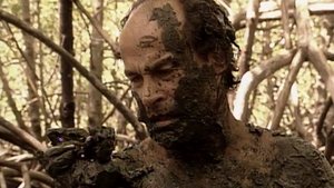 Poster for Chapter 16 Poster for Chapter 16