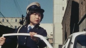 Poster for Fight On, Police Woman
