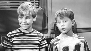 Poster for Andy and Opie's Pal