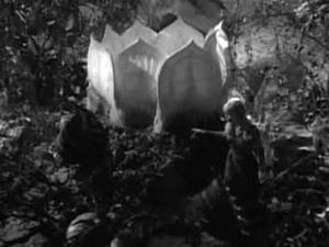 Poster for Attack of the Monster Plants
