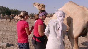 Poster for The First Rule of the Amazing Race Club (1)