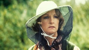 Poster for Birds Vs Bees