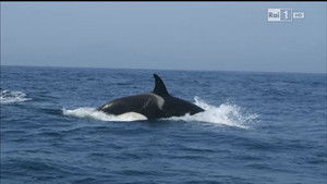 Poster for Episode 4 Poster for Episode 4