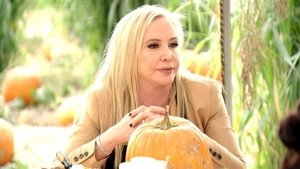 Poster for Pumpkins & Paparazzi