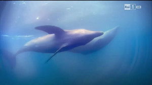 Poster for Episode 3 Poster for Episode 3