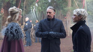 Poster for Natural Selection