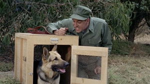 Poster for Gomer Untrains a Dog