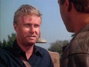 Poster for Once a Tiger...