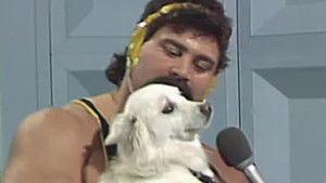 Poster for World Championship Wrestling - Jan. 28, 1989