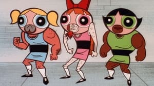 Poster for Powerpuff Bluff Poster for Powerpuff Bluff