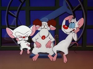 Poster for Pinky & The Brain ...and Larry