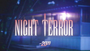 Poster for Night Terror
