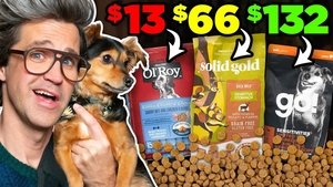 Poster for Is Expensive Dog Food Worth It?