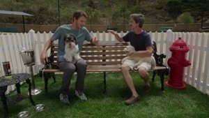 Poster for Dog Trainer